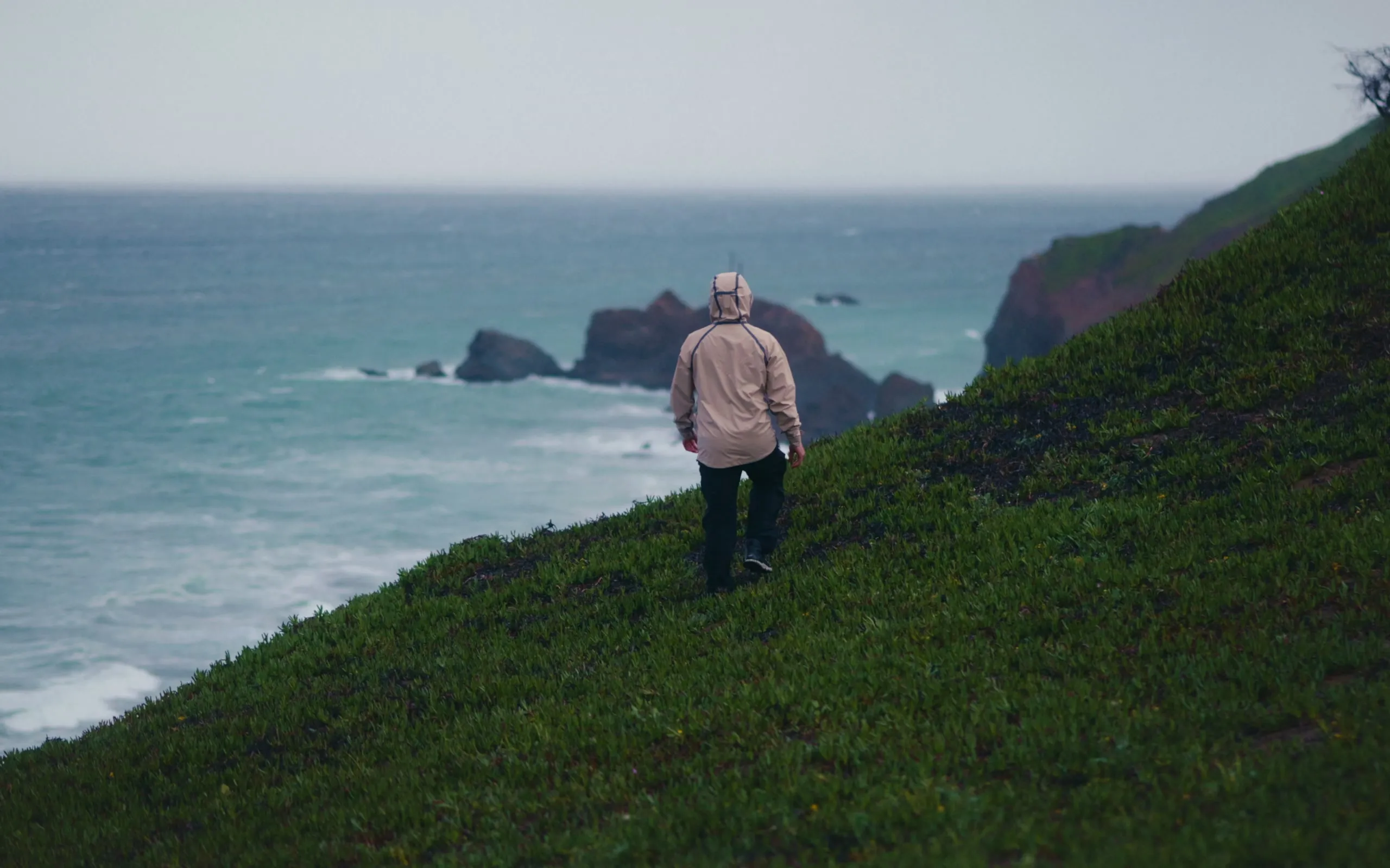 A figure on a cliff above the Pacific